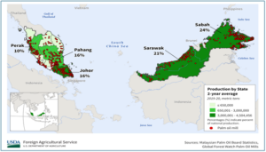 Figure 1: Malaysia palm oil plantation and production (Source: MPOGCF)